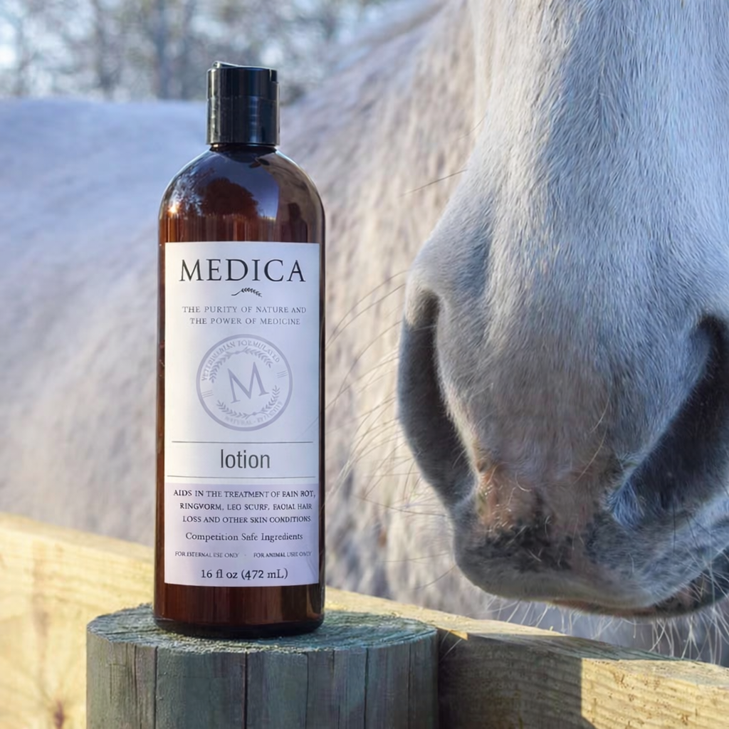 Recovery Lotion (Medical Grade) – Medica Veterinary Products