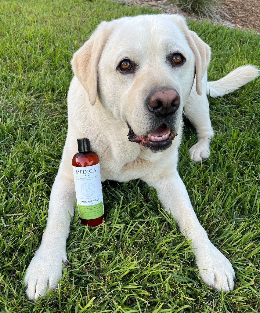 Medica Treatment Wash product photograph with a dog