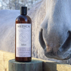 Recovery Lotion