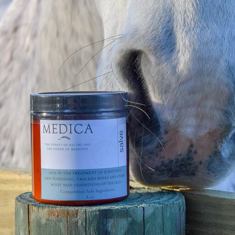 Healing Salve (Medical Grade)