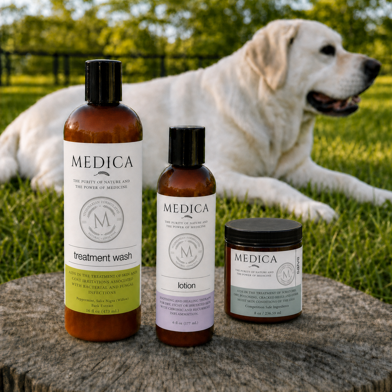 Medica Complete Dog Skin Recovery System with 16 oz Treatment Wash, 6 oz Recovery Lotion, and 8 oz Healing Salve in front of a white dog.