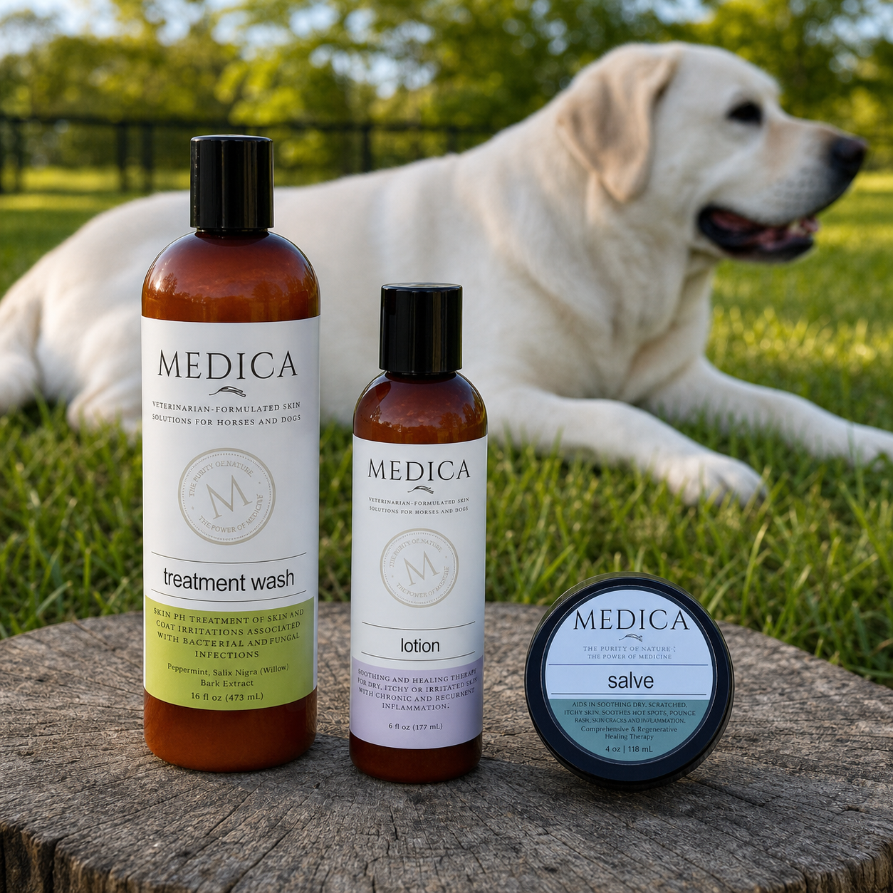 Complete Dog Skin Recovery System — Standard
