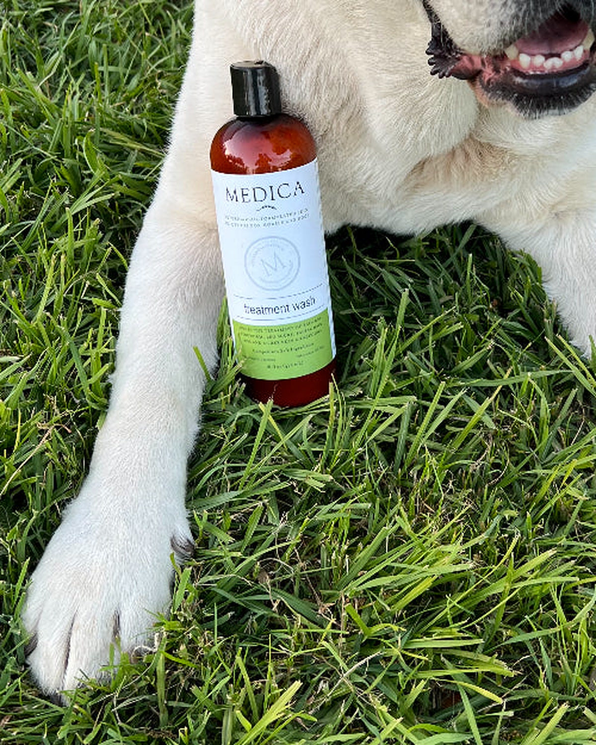 Treatment Wash for Dogs (16 oz) featured in testimonial